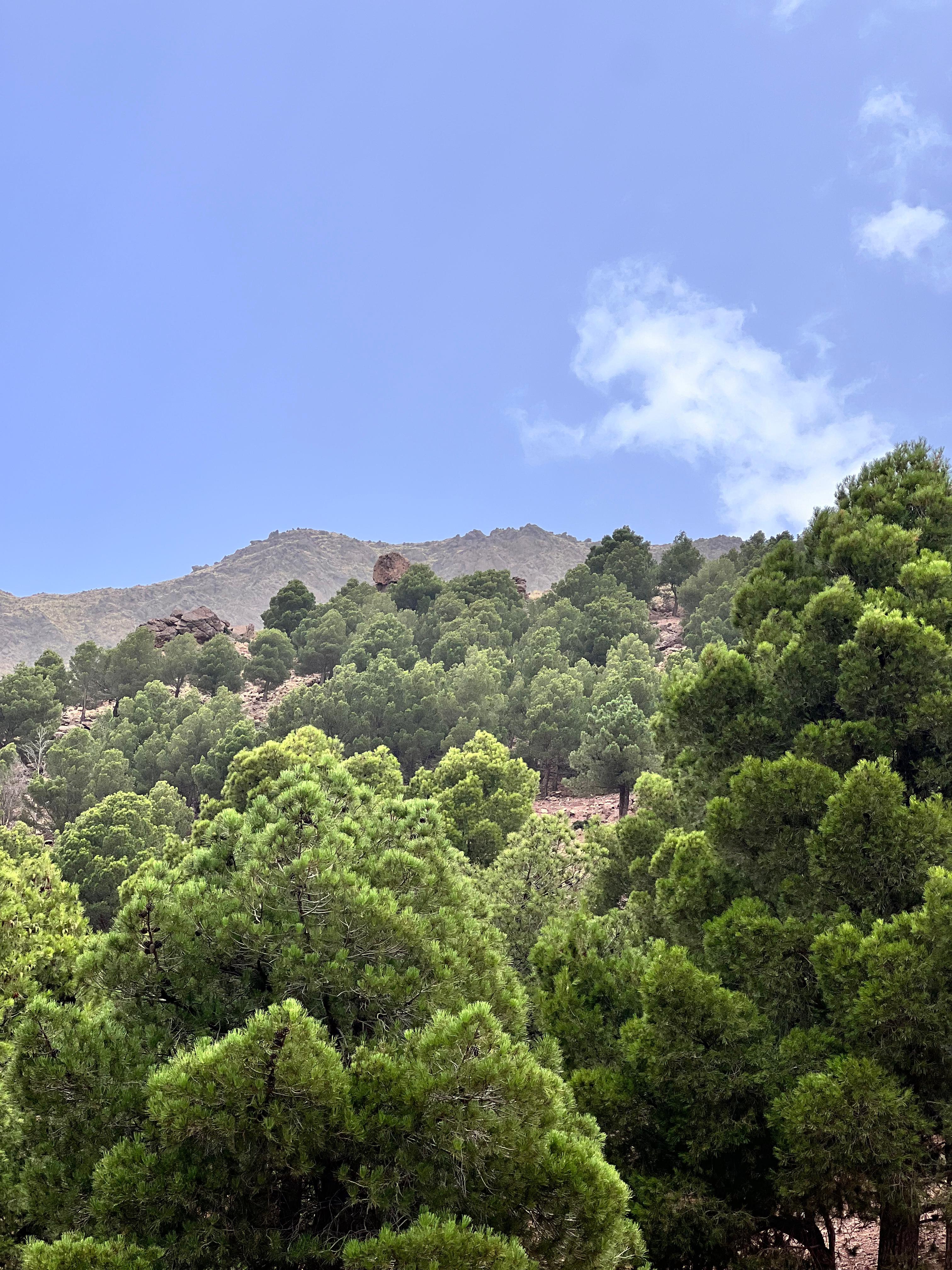 Trekking path from Imlil to Toubkal refuge surrounded by Atlas peaks